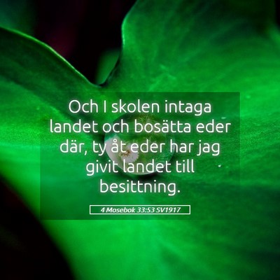 Picture 05 - 4 Mosebok 33:53 SV1917 - Och I skolen intaga landet och bosätta eder - Bible Verse Picture