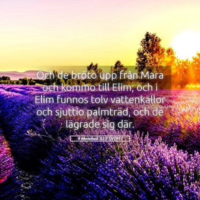 Picture 05 - 4 Mosebok 33:9 SV1917 - Och de bröto upp från Mara och kommo till Elim; - Bible Verse Picture