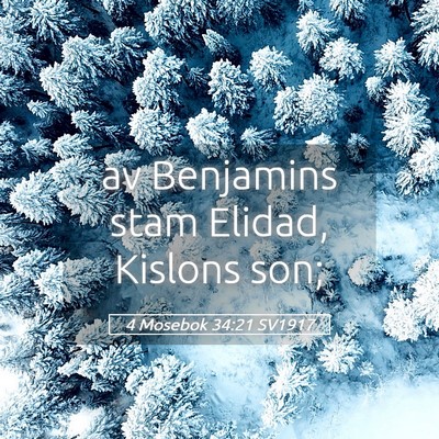Picture 05 - 4 Mosebok 34:21 SV1917 - av Benjamins stam Elidad, Kislons - Bible Verse Picture