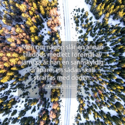 Picture 05 - 4 Mosebok 35:16 SV1917 - Men om någon slår en annan till döds med ett - Bible Verse Picture