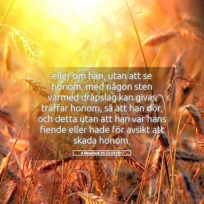 Picture 05 - 4 Mosebok 35:23 SV1917 - eller om han, utan att se honom, med någon sten - Bible Verse Picture