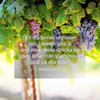 Picture 05 - 4 Mosebok 35:4 SV1917 - Och städernas utmarker, som I skolen giva åt - Bible Verse Picture