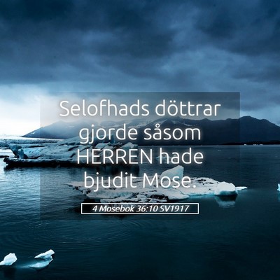 Picture 05 - 4 Mosebok 36:10 SV1917 - Selofhads döttrar gjorde såsom HERREN hade - Bible Verse Picture