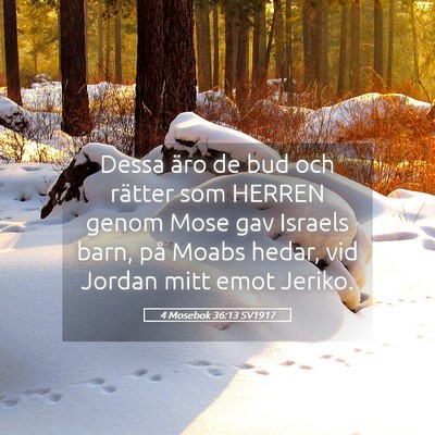 Picture 05 - 4 Mosebok 36:13 SV1917 - Dessa äro de bud och rätter som HERREN genom - Bible Verse Picture