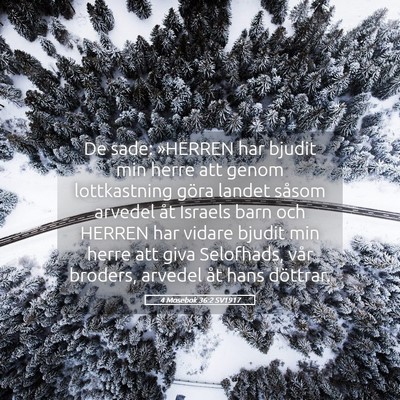 Picture 05 - 4 Mosebok 36:2 SV1917 - De sade: »HERREN har bjudit min herre att genom - Bible Verse Picture