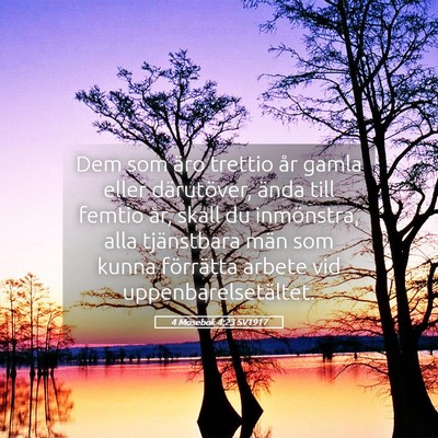 Picture 05 - 4 Mosebok 4:23 SV1917 - Dem som äro trettio år gamla eller därutöver, - Bible Verse Picture