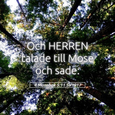 Picture 05 - 4 Mosebok 5:11 SV1917 - Och HERREN talade till Mose och - Bible Verse Picture