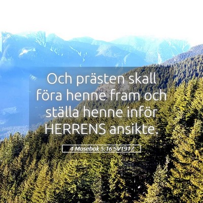 Picture 05 - 4 Mosebok 5:16 SV1917 - Och prästen skall föra henne fram och ställa - Bible Verse Picture
