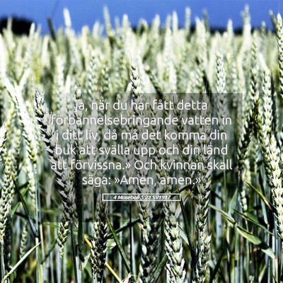 Picture 05 - 4 Mosebok 5:22 SV1917 - ja, när du har fått detta förbannelsebringande - Bible Verse Picture