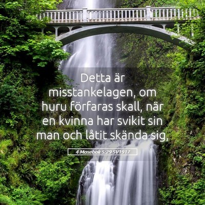 Picture 05 - 4 Mosebok 5:29 SV1917 - Detta är misstankelagen, om huru förfaras - Bible Verse Picture
