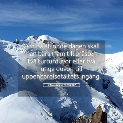 Picture 05 - 4 Mosebok 6:10 SV1917 - Och på åttonde dagen skall han bära fram till - Bible Verse Picture