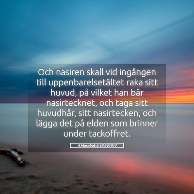 Picture 05 - 4 Mosebok 6:18 SV1917 - Och nasiren skall vid ingången till - Bible Verse Picture