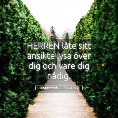 Picture 05 - 4 Mosebok 6:25 SV1917 - HERREN låte sitt ansikte lysa över dig och vare - Bible Verse Picture