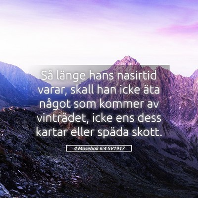 Picture 05 - 4 Mosebok 6:4 SV1917 - Så länge hans nasirtid varar, skall han icke - Bible Verse Picture