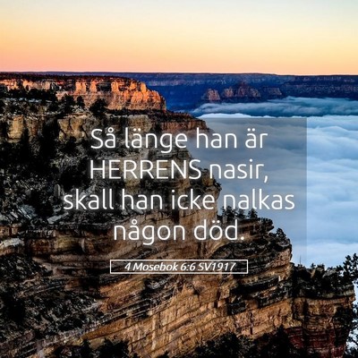 Picture 05 - 4 Mosebok 6:6 SV1917 - Så länge han är HERRENS nasir, skall han icke - Bible Verse Picture