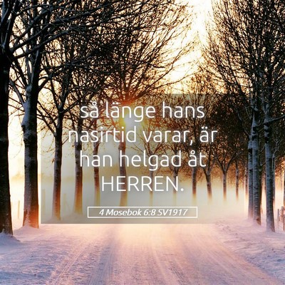 Picture 05 - 4 Mosebok 6:8 SV1917 - så länge hans nasirtid varar, är han helgad - Bible Verse Picture