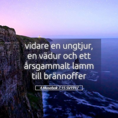 Picture 05 - 4 Mosebok 7:15 SV1917 - vidare en ungtjur, en vädur och ett årsgammalt - Bible Verse Picture