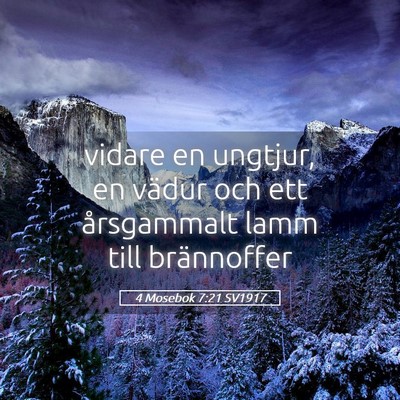 Picture 05 - 4 Mosebok 7:21 SV1917 - vidare en ungtjur, en vädur och ett årsgammalt - Bible Verse Picture