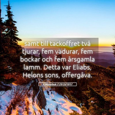 Picture 05 - 4 Mosebok 7:29 SV1917 - samt till tackoffret två tjurar, fem vädurar, - Bible Verse Picture