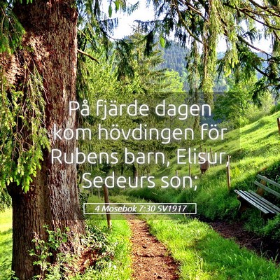 Picture 05 - 4 Mosebok 7:30 SV1917 - På fjärde dagen kom hövdingen för Rubens - Bible Verse Picture