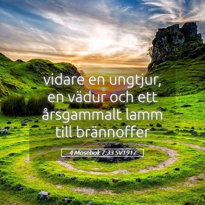 Picture 05 - 4 Mosebok 7:33 SV1917 - vidare en ungtjur, en vädur och ett årsgammalt - Bible Verse Picture