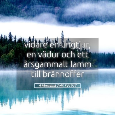 Picture 05 - 4 Mosebok 7:45 SV1917 - vidare en ungtjur, en vädur och ett årsgammalt - Bible Verse Picture