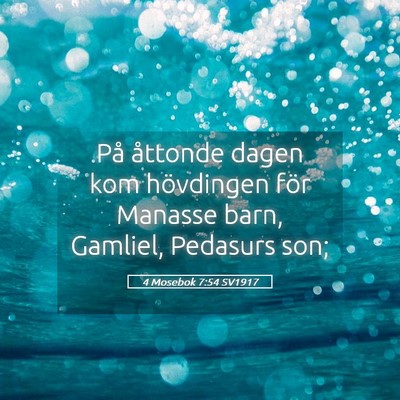 Picture 05 - 4 Mosebok 7:54 SV1917 - På åttonde dagen kom hövdingen för Manasse - Bible Verse Picture