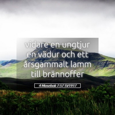 Picture 05 - 4 Mosebok 7:57 SV1917 - vidare en ungtjur en vädur och ett årsgammalt - Bible Verse Picture