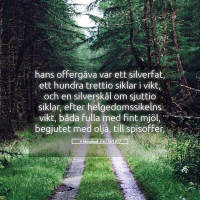 Picture 05 - 4 Mosebok 7:67 SV1917 - hans offergåva var ett silverfat, ett hundra - Bible Verse Picture