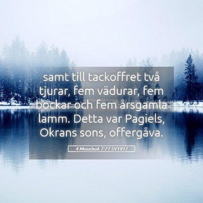 Picture 05 - 4 Mosebok 7:77 SV1917 - samt till tackoffret två tjurar, fem vädurar, - Bible Verse Picture