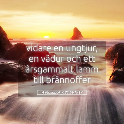 Picture 05 - 4 Mosebok 7:81 SV1917 - vidare en ungtjur, en vädur och ett årsgammalt - Bible Verse Picture