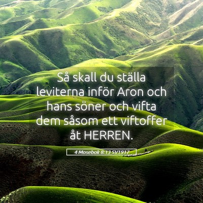 Picture 05 - 4 Mosebok 8:13 SV1917 - Så skall du ställa leviterna inför Aron och - Bible Verse Picture