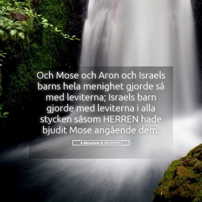 Picture 05 - 4 Mosebok 8:20 SV1917 - Och Mose och Aron och Israels barns hela menighet - Bible Verse Picture