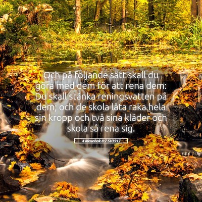Picture 05 - 4 Mosebok 8:7 SV1917 - Och på följande sätt skall du göra med dem - Bible Verse Picture
