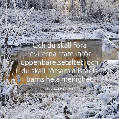 Picture 05 - 4 Mosebok 8:9 SV1917 - Och du skall föra leviterna fram inför - Bible Verse Picture