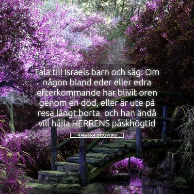 Picture 05 - 4 Mosebok 9:10 SV1917 - Tala till Israels barn och säg: Om någon bland - Bible Verse Picture