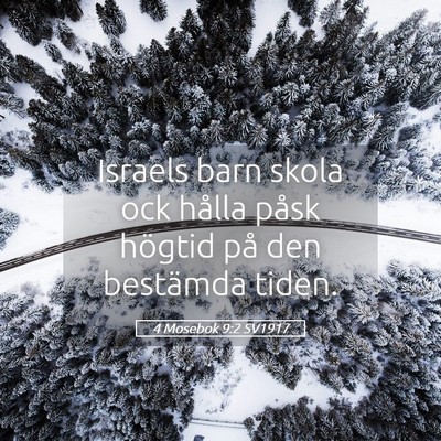 Picture 05 - 4 Mosebok 9:2 SV1917 - Israels barn skola ock hålla påsk högtid på - Bible Verse Picture