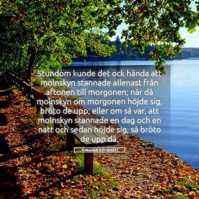 Picture 05 - 4 Mosebok 9:21 SV1917 - Stundom kunde det ock hända att molnskyn - Bible Verse Picture