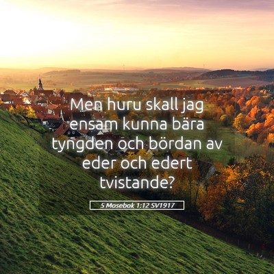 Picture 05 - 5 Mosebok 1:12 SV1917 - Men huru skall jag ensam kunna bära tyngden och - Bible Verse Picture