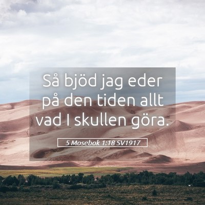 Picture 05 - 5 Mosebok 1:18 SV1917 - Så bjöd jag eder på den tiden allt vad I - Bible Verse Picture