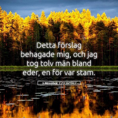 Picture 05 - 5 Mosebok 1:23 SV1917 - Detta förslag behagade mig, och jag tog tolv - Bible Verse Picture