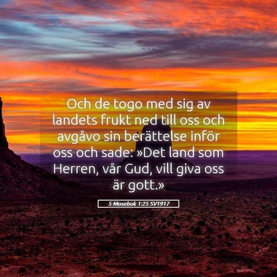 Picture 05 - 5 Mosebok 1:25 SV1917 - Och de togo med sig av landets frukt ned till oss - Bible Verse Picture