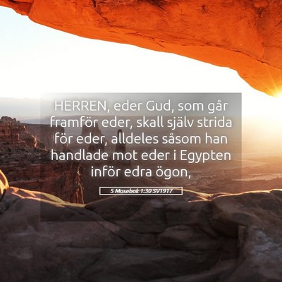 Picture 05 - 5 Mosebok 1:30 SV1917 - HERREN, eder Gud, som går framför eder, skall - Bible Verse Picture