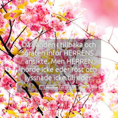 Picture 05 - 5 Mosebok 1:45 SV1917 - Då vänden I tillbaka och gräten inför HERRENS - Bible Verse Picture