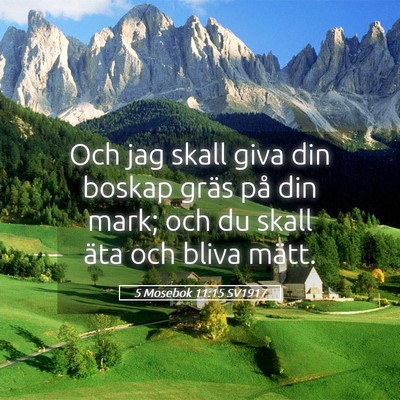 Picture 05 - 5 Mosebok 11:15 SV1917 - Och jag skall giva din boskap gräs på din mark; - Bible Verse Picture