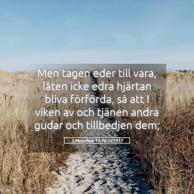 Picture 05 - 5 Mosebok 11:16 SV1917 - Men tagen eder till vara, låten icke edra - Bible Verse Picture