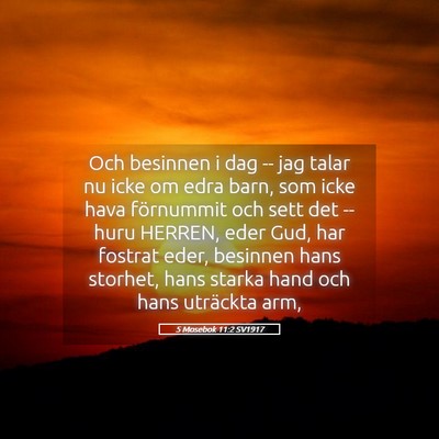 Picture 05 - 5 Mosebok 11:2 SV1917 - Och besinnen i dag -- jag talar nu icke om edra - Bible Verse Picture