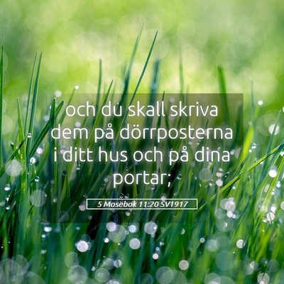 Picture 05 - 5 Mosebok 11:20 SV1917 - och du skall skriva dem på dörrposterna i ditt - Bible Verse Picture