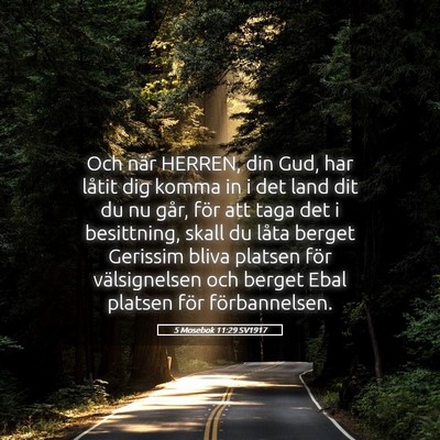 Picture 05 - 5 Mosebok 11:29 SV1917 - Och när HERREN, din Gud, har låtit dig komma in - Bible Verse Picture