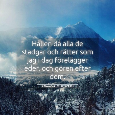 Picture 05 - 5 Mosebok 11:32 SV1917 - Hållen då alla de stadgar och rätter som jag i - Bible Verse Picture